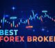 Understanding Forex Brokers: What You Need to Know